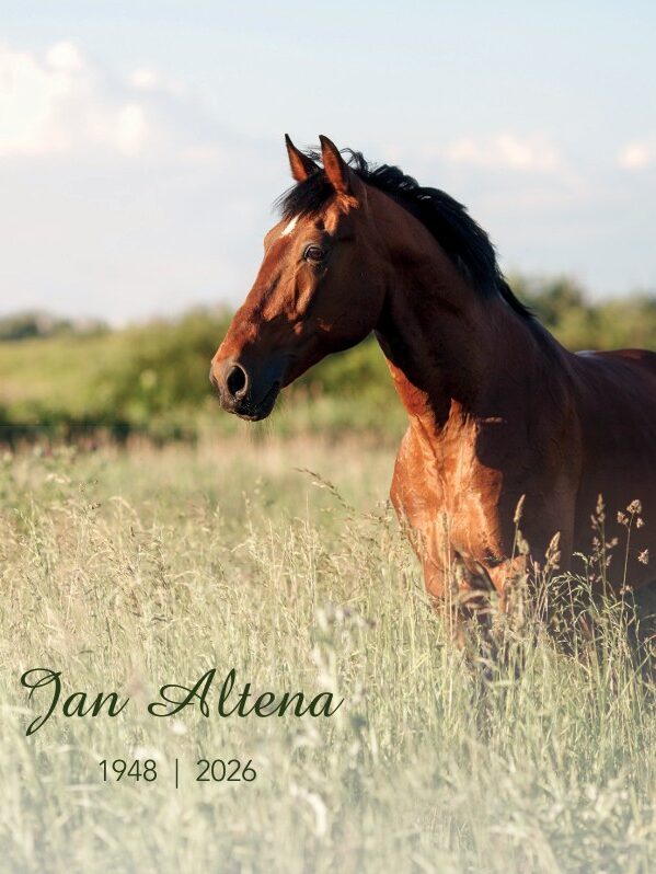 Schermafbeelding 2026-02-20 173458